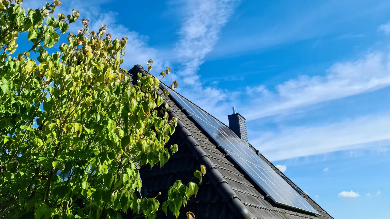 zonnepanelen op een huis met een boom ervoor