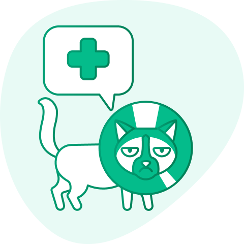 dierenverzekering-vergelijken