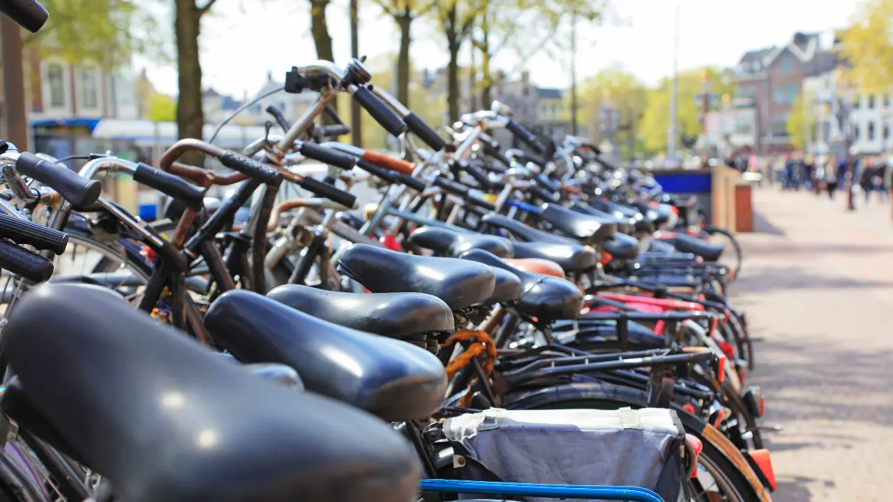 fietsen in nederland