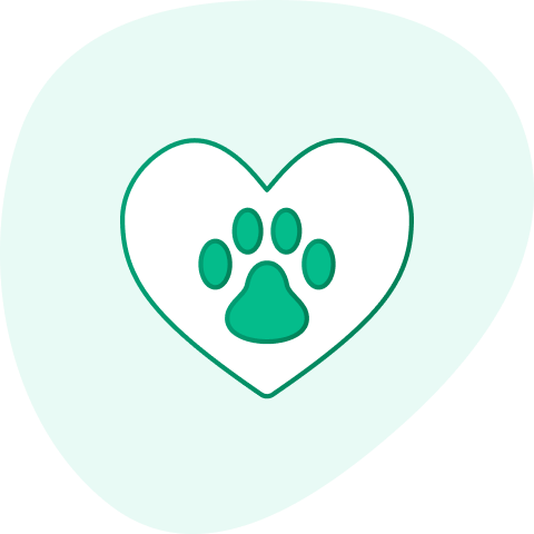 dierenverzekering-vergelijken