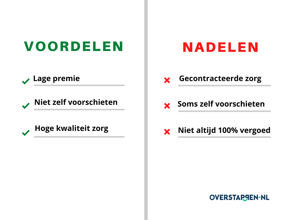 Voordelen en nadelen naturapolis