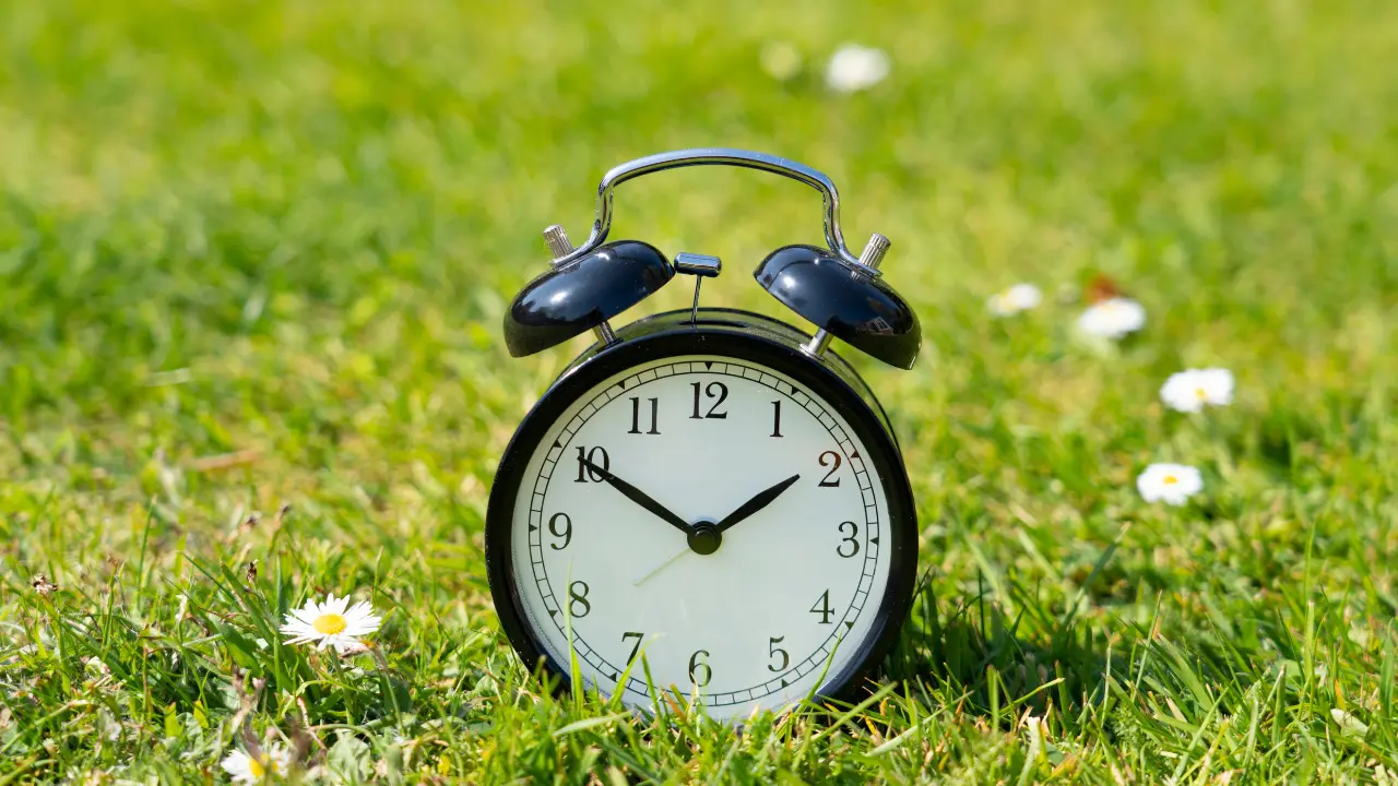 klokje in gras met bloemen zomertijd