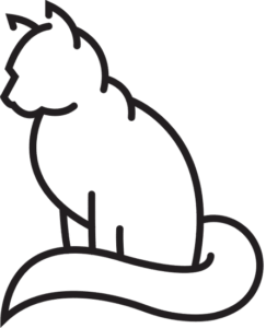 kattenverzekering